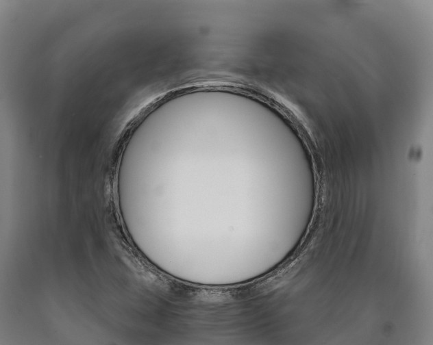 X0000090921407200707301044