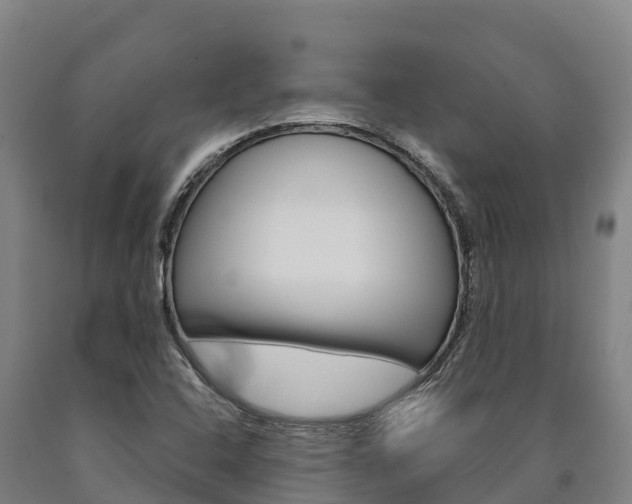 X0000090921408200707301044
