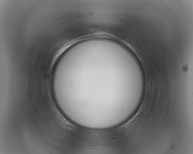 X0000090921410200707301044