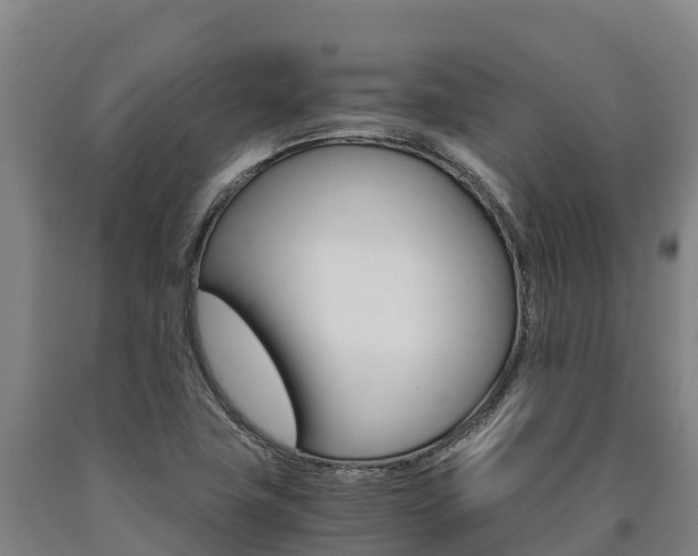 X0000090921411200707301044