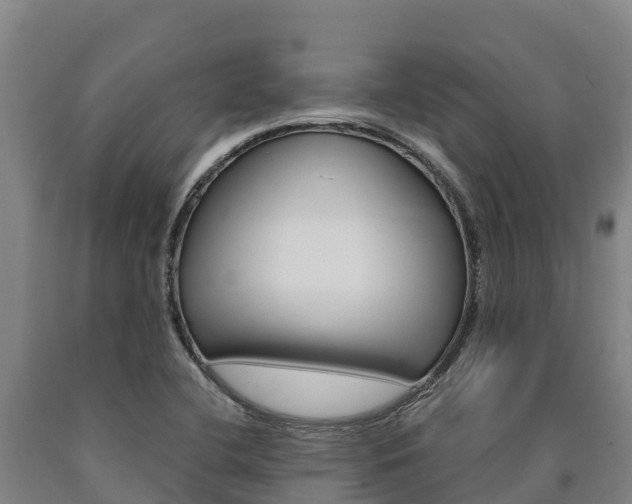 X0000090921412200707301044