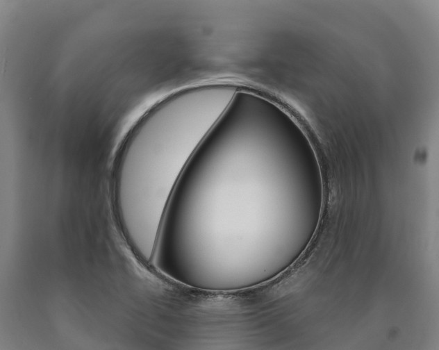 X0000090921414200707301044