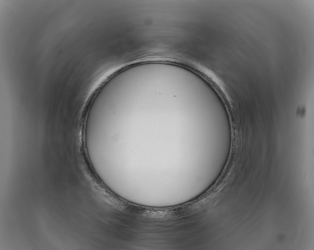 X0000090921415200707301044