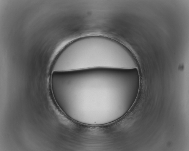 X0000090921416200707301044