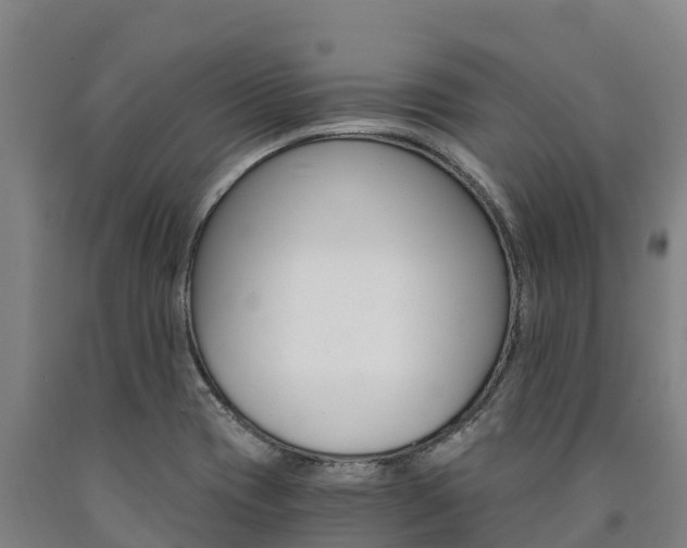 X0000090921417200707301044
