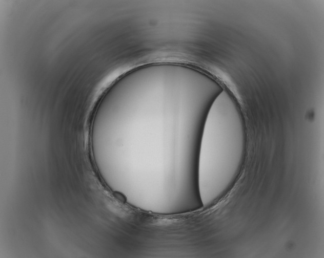 X0000090921419200707301044