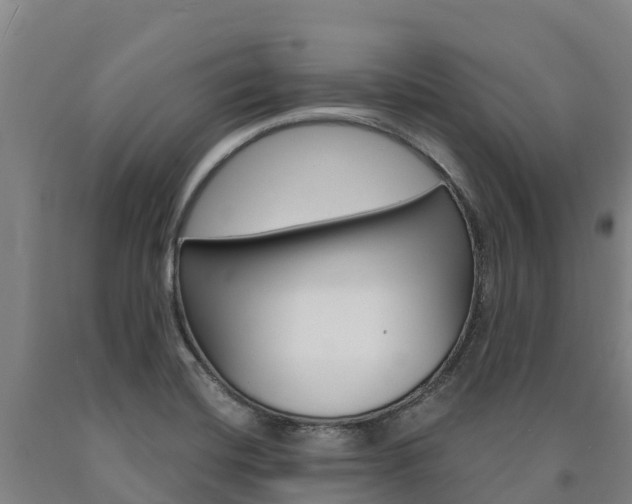 X0000090921420200707301044