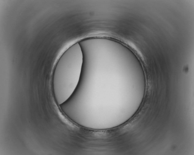 X0000090921421200707301044