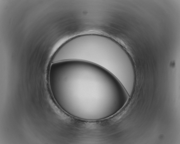 X0000090921422200707301044
