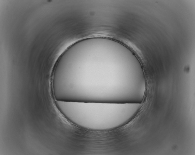 X0000090921423200707301044
