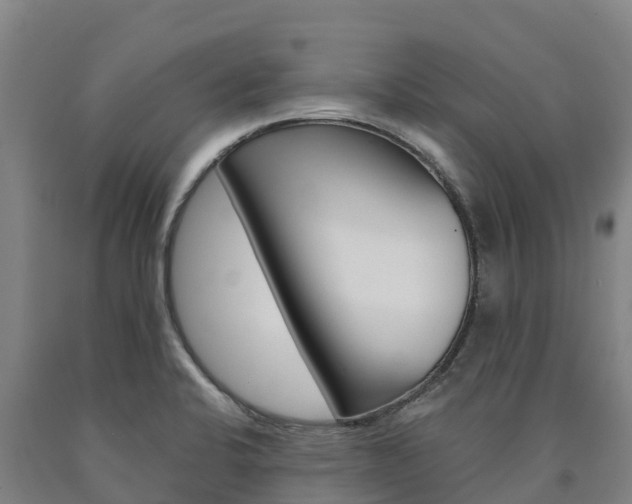 X0000090921424200707301044