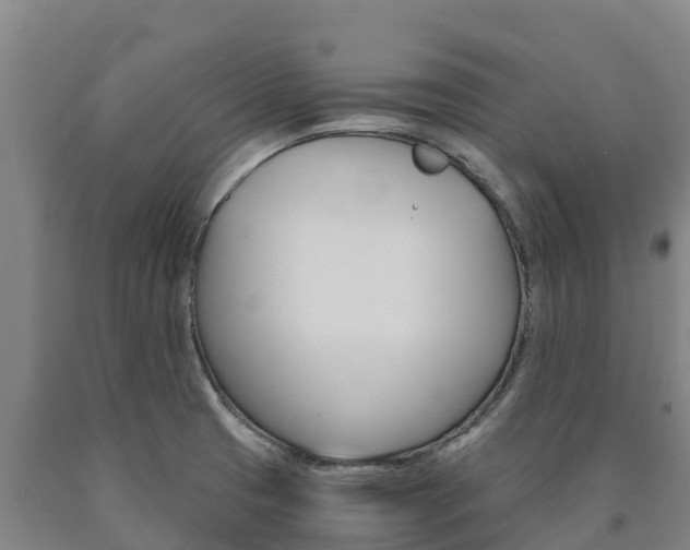 X0000090921425200707301044