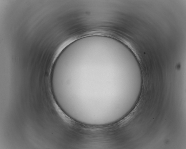 X0000090921426200707301044
