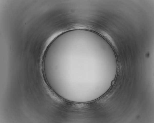 X0000090921427200707301044