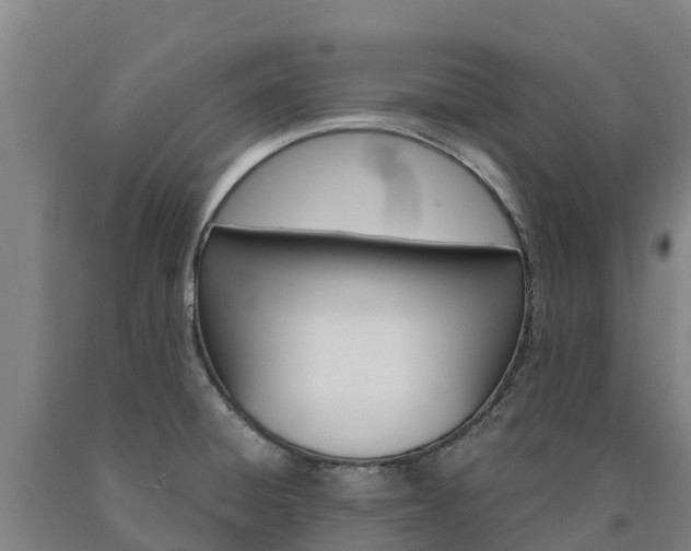 X0000090921428200707301044