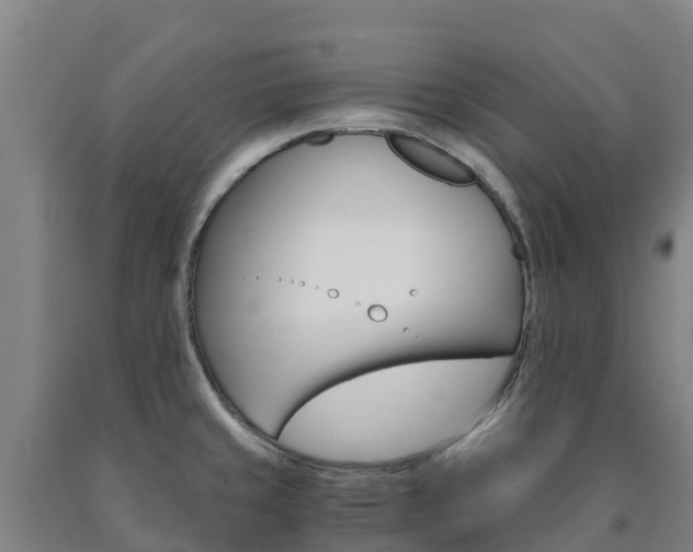 X0000090921429200707301044