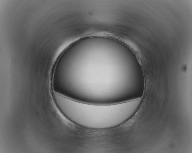 X0000090921430200707301044