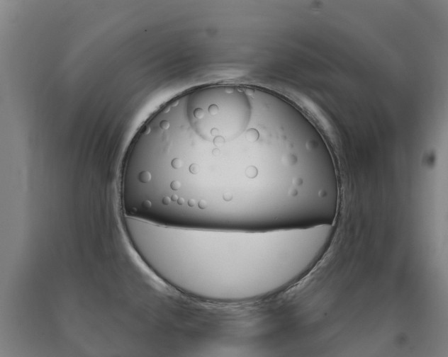 X0000090921432200707301044