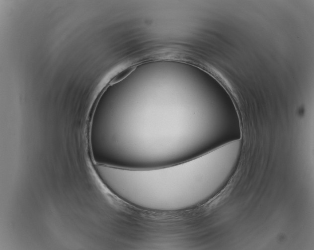 X0000090921434200707301044
