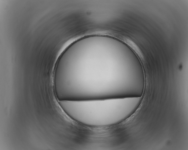 X0000090921436200707301044
