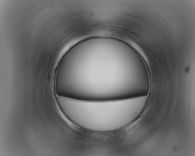 X0000090921437200707301044