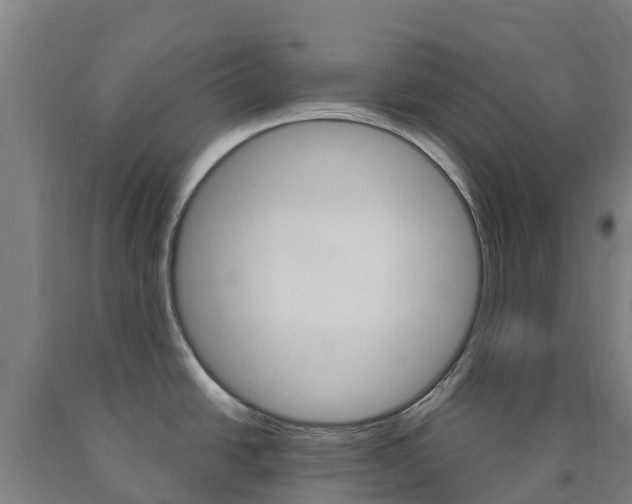 X0000090921438200707301044