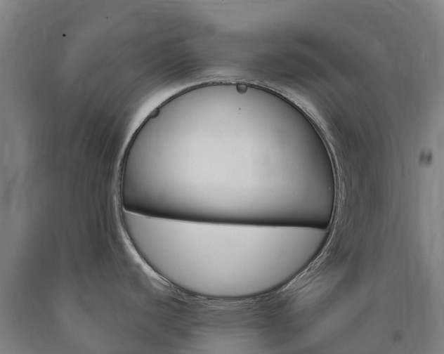 X0000090921440200707301044
