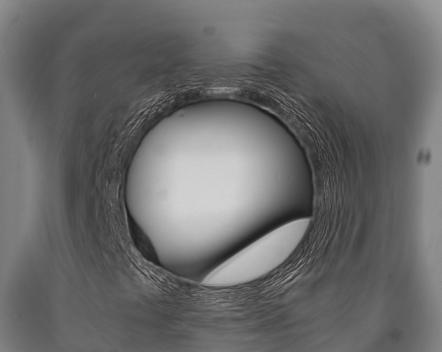 X0000090921441200707301044