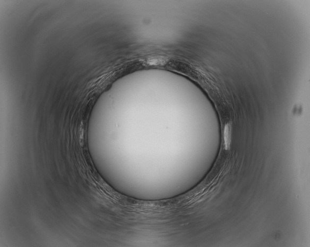 X0000090921443200707301044