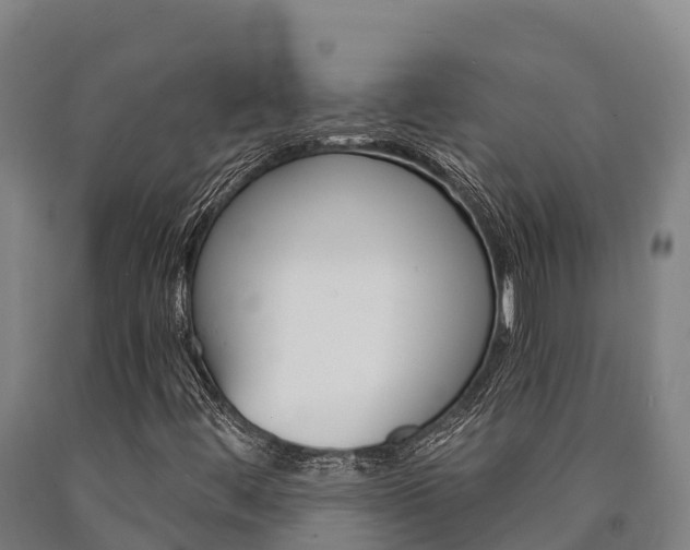 X0000090921444200707301044