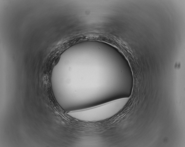 X0000090921445200707301044