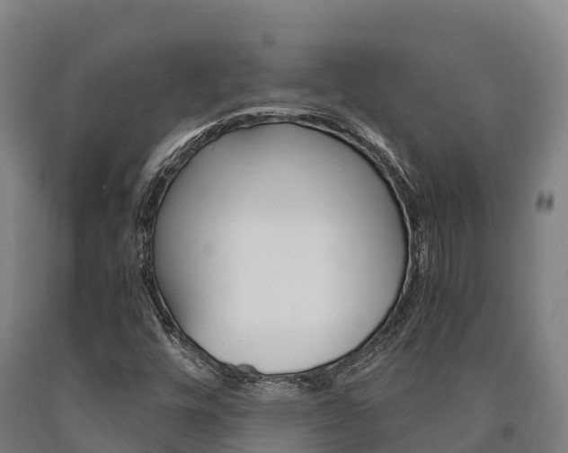 X0000090921448200707301044