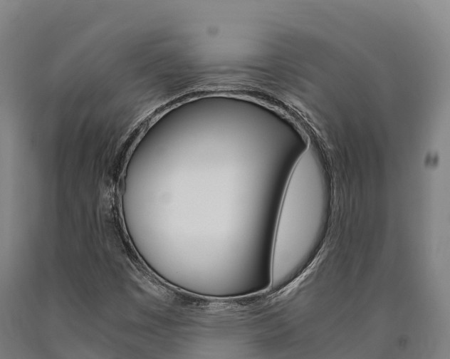 X0000090921449200707301044
