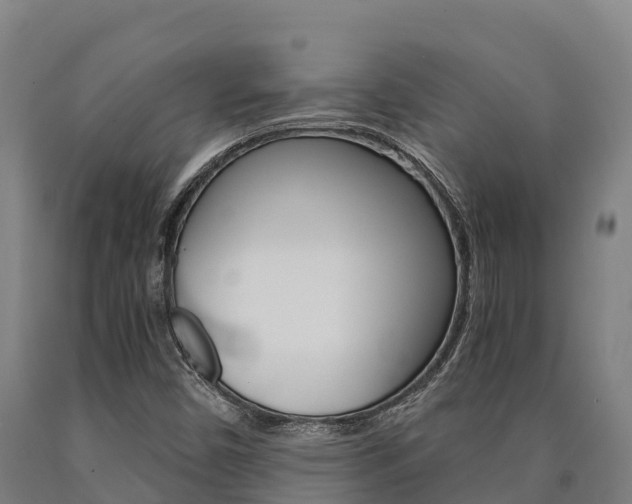 X0000090921450200707301044