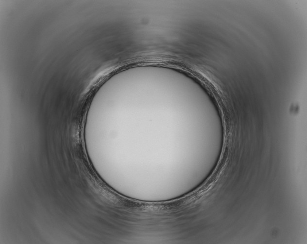 X0000090921451200707301044