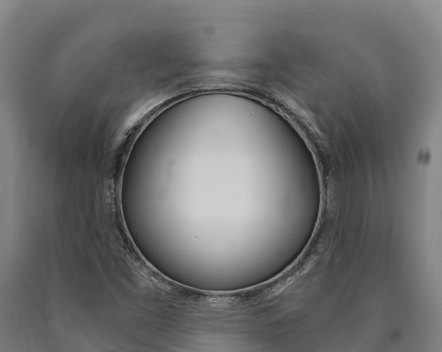 X0000090921453200707301044