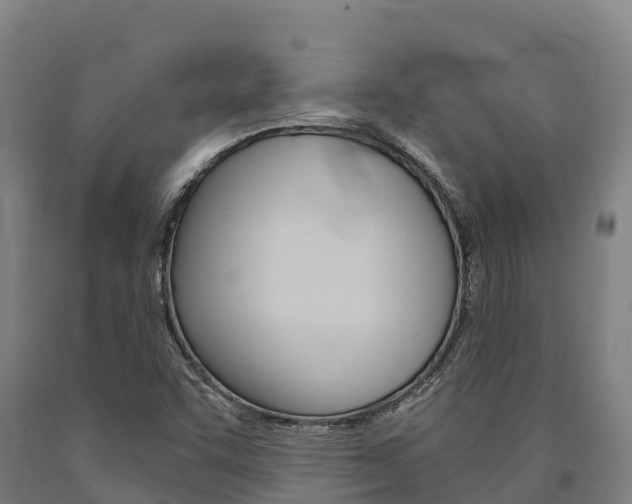 X0000090921455200707301044
