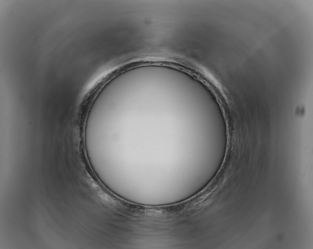 X0000090921456200707301044