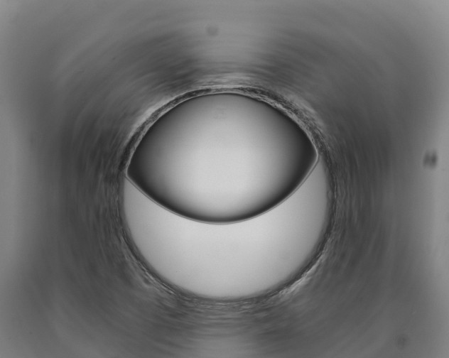 X0000090921457200707301044