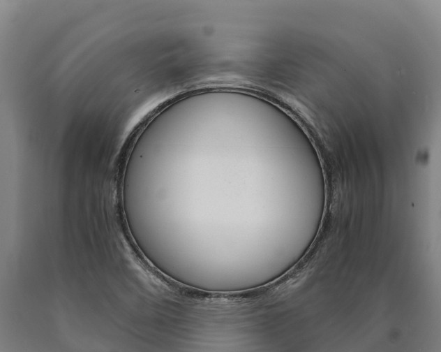 X0000090921458200707301044