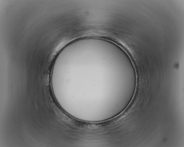 X0000090921459200707301044