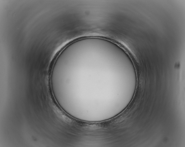X0000090921460200707301044