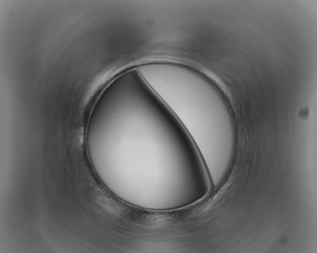 X0000090921461200707301044