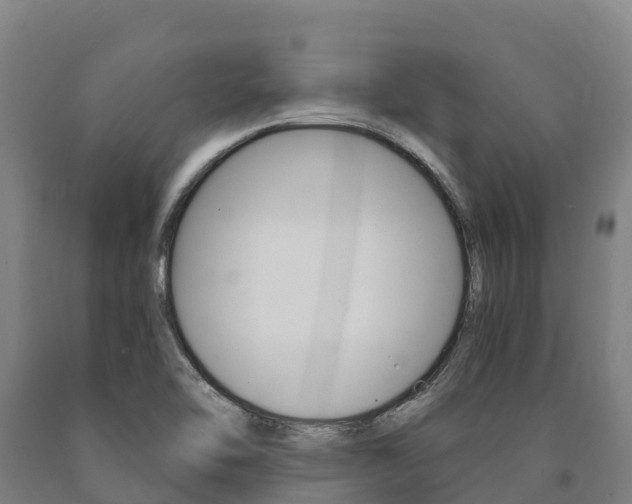 X0000090921462200707301044
