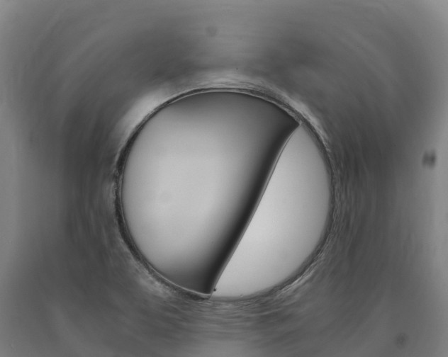 X0000090921463200707301044