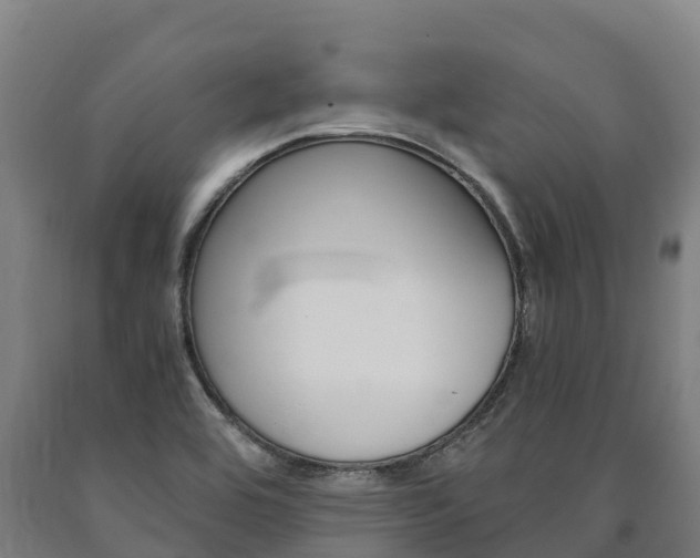 X0000090921464200707301044