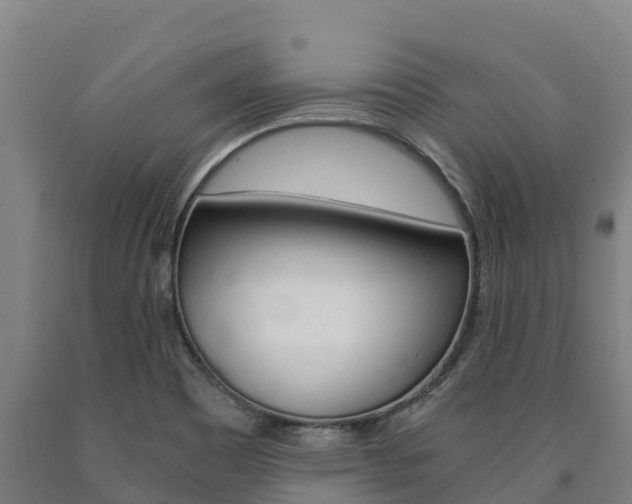 X0000090921465200707301044