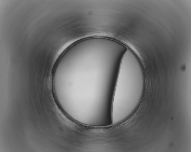 X0000090921468200707301044