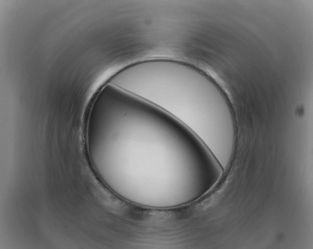 X0000090921469200707301044