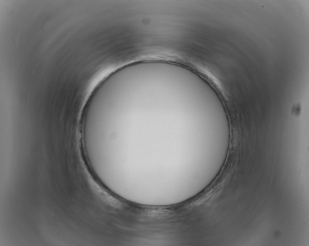 X0000090921471200707301044